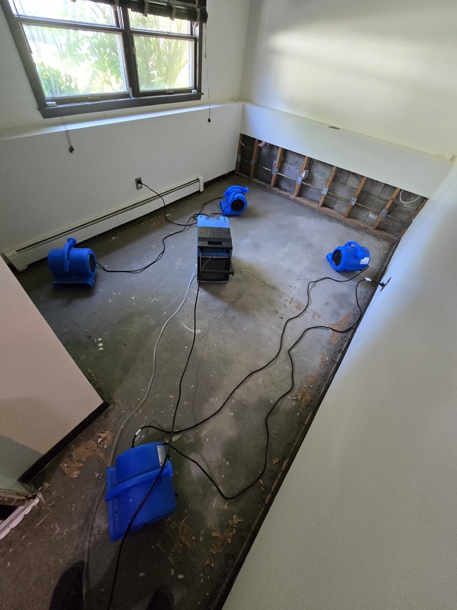 Air movers and a dehumidifier drying a room stripped to bare studs and subfloor