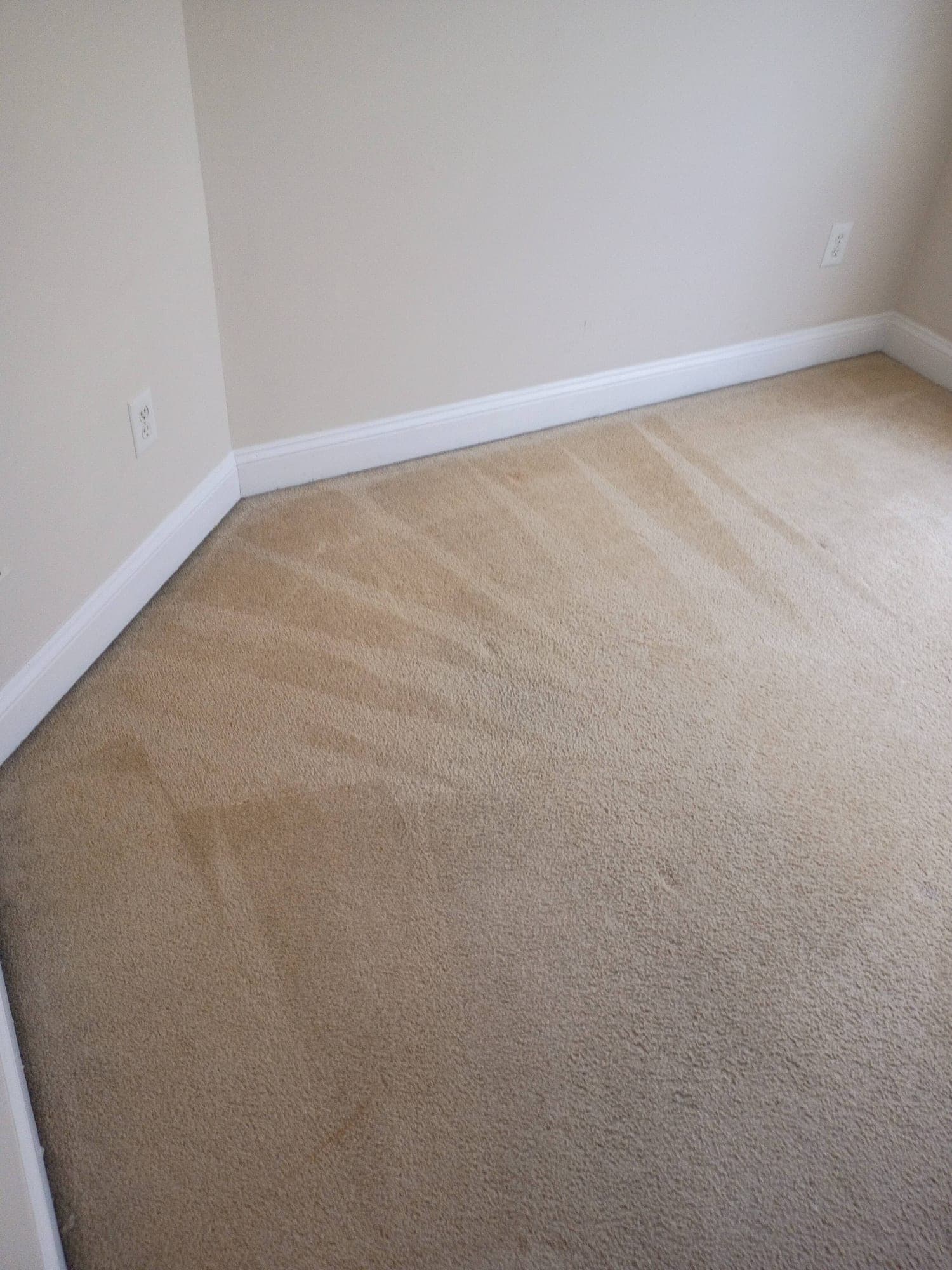 Empty clean beige carpet corner in bright natural light after cleaning