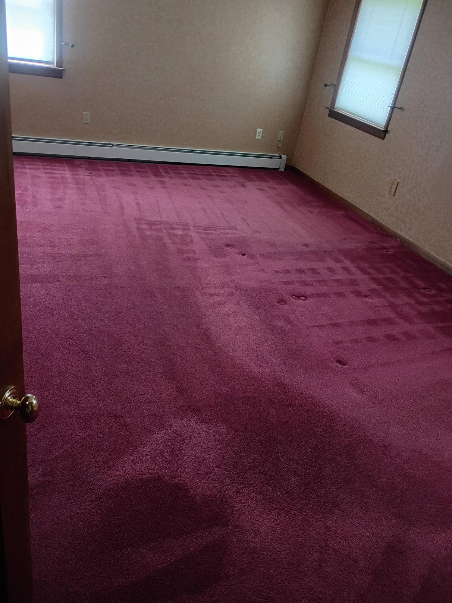Empty bedroom with burgundy carpet after professional cleaning