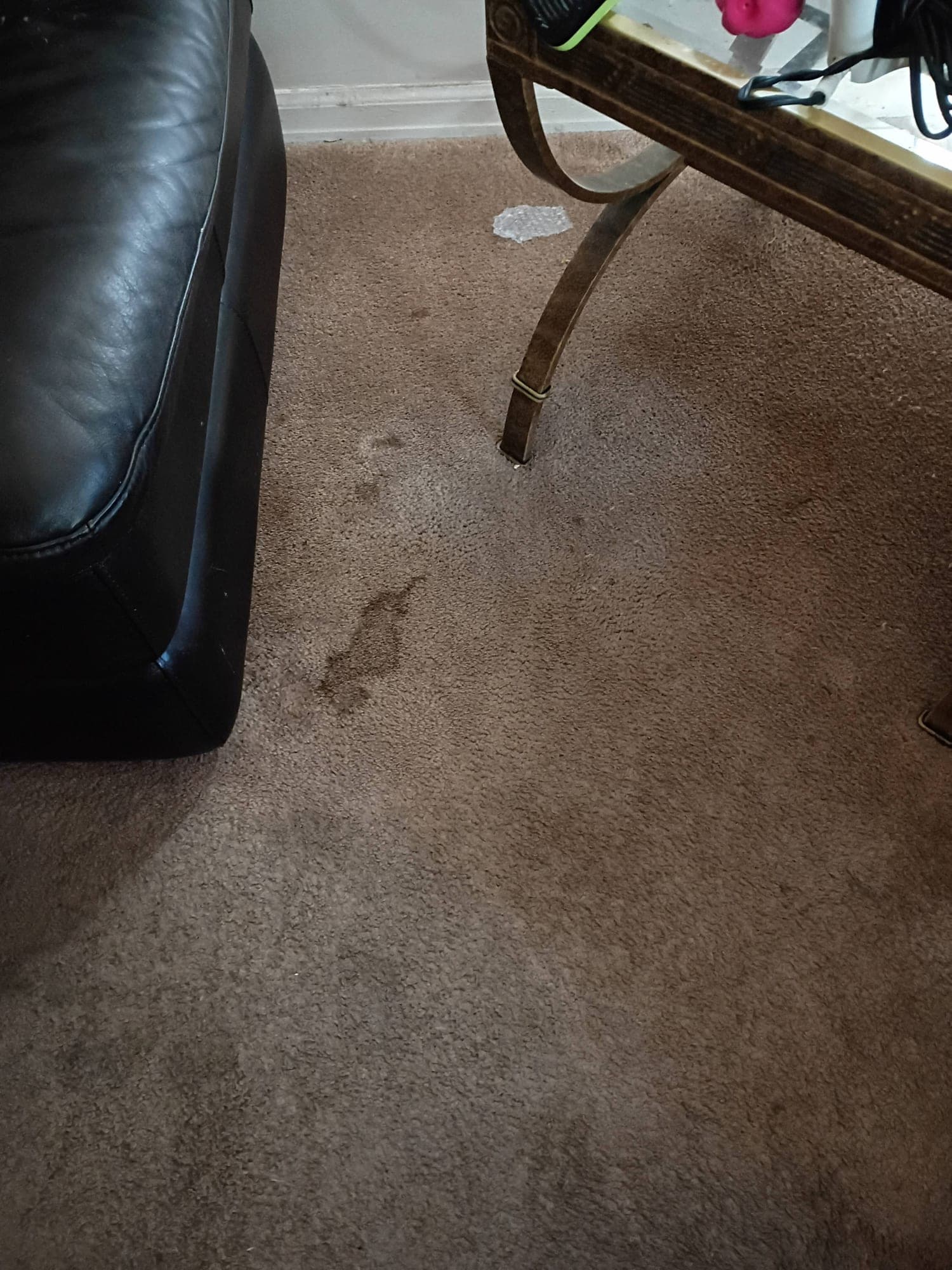 Carpet with visible dark stain near leather furniture before cleaning