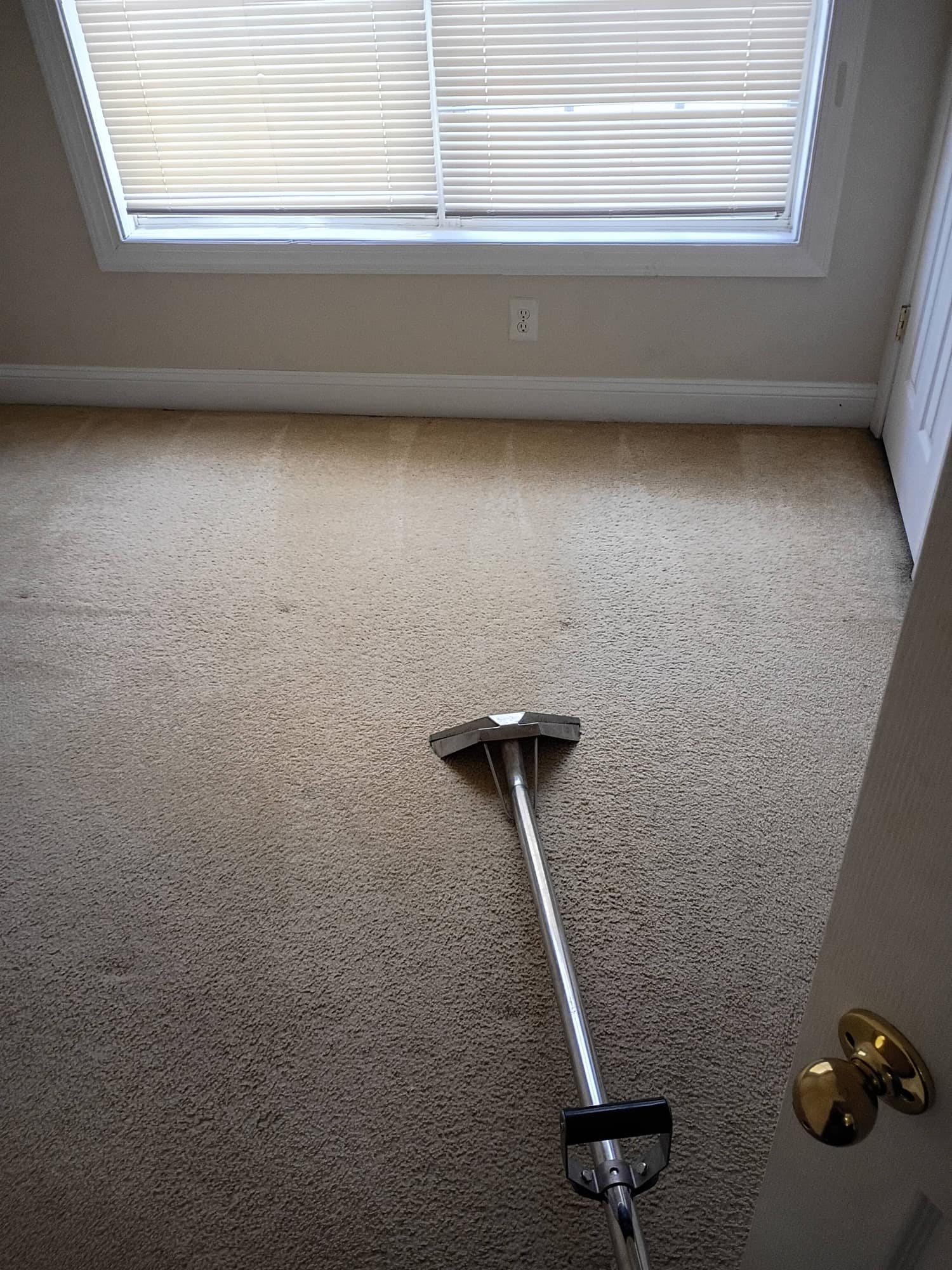 Close-up of a carpet cleaning wand on carpet with sunlit window blinds