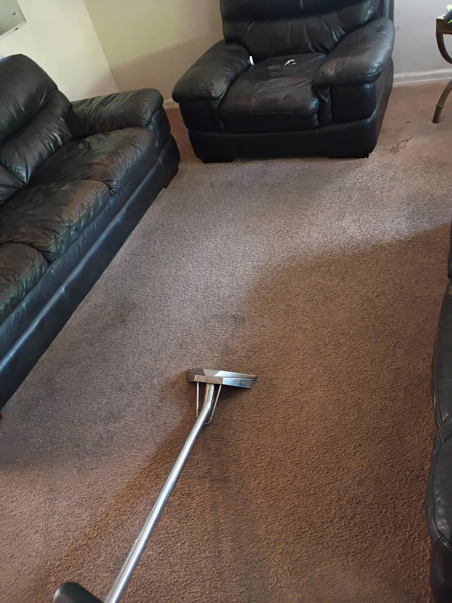 Carpet cleaning wand on freshly cleaned carpet between leather couches