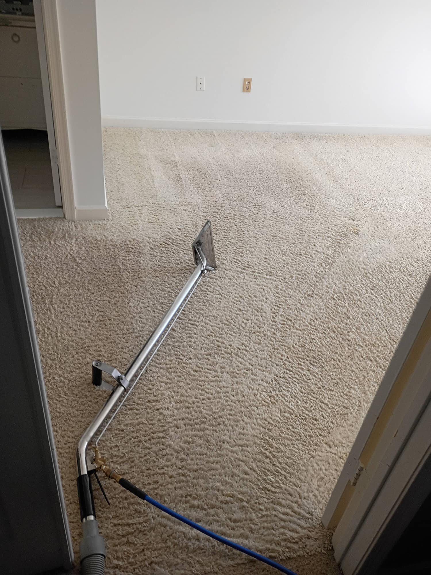 Carpet cleaning wand mid-use on tan carpet