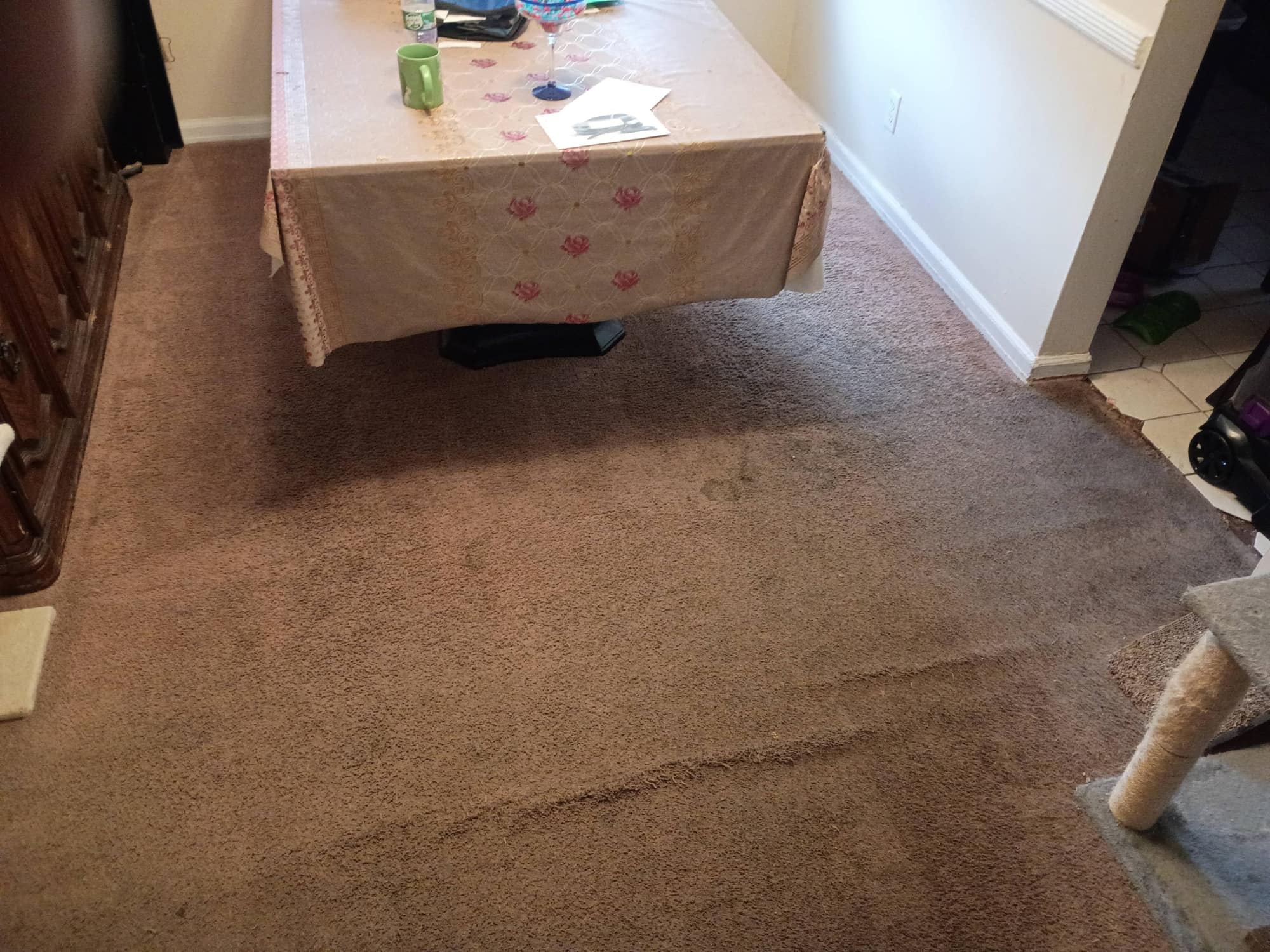 Dining room carpet after cleaning beneath a tablecloth-covered table