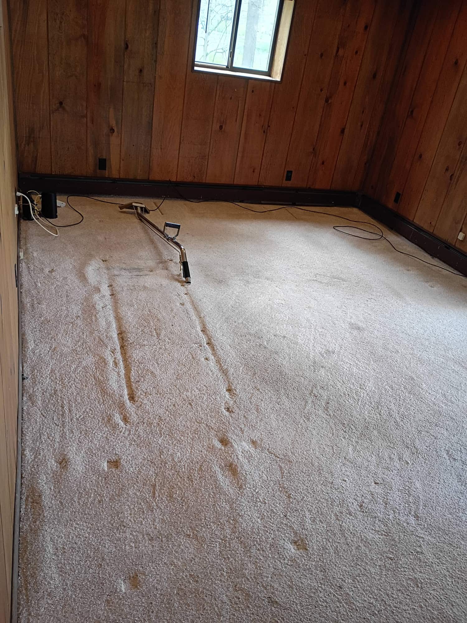 Empty wood-paneled room with dirty carpet and extraction wand marks