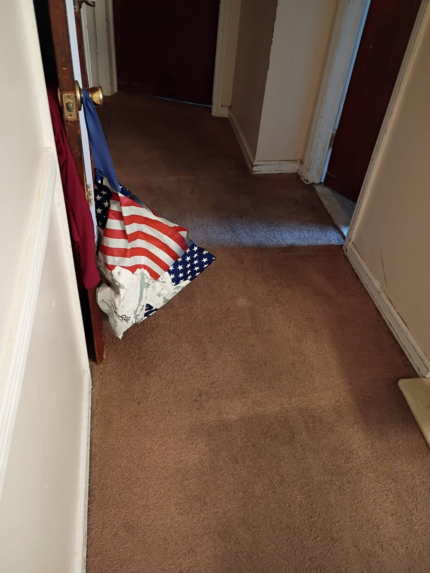 Hallway carpet after professional cleaning