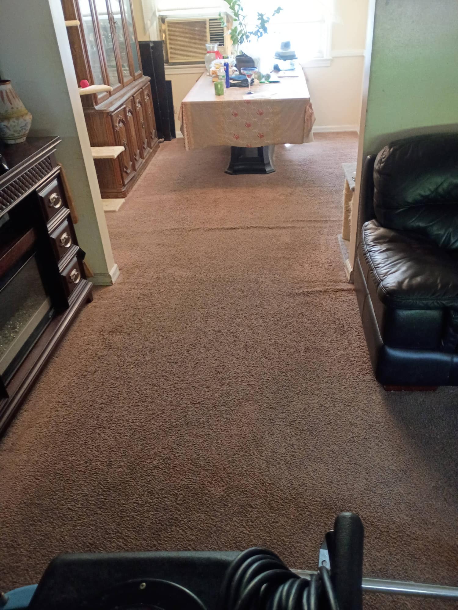 Hallway view toward dining table and fireplace with freshly cleaned carpet