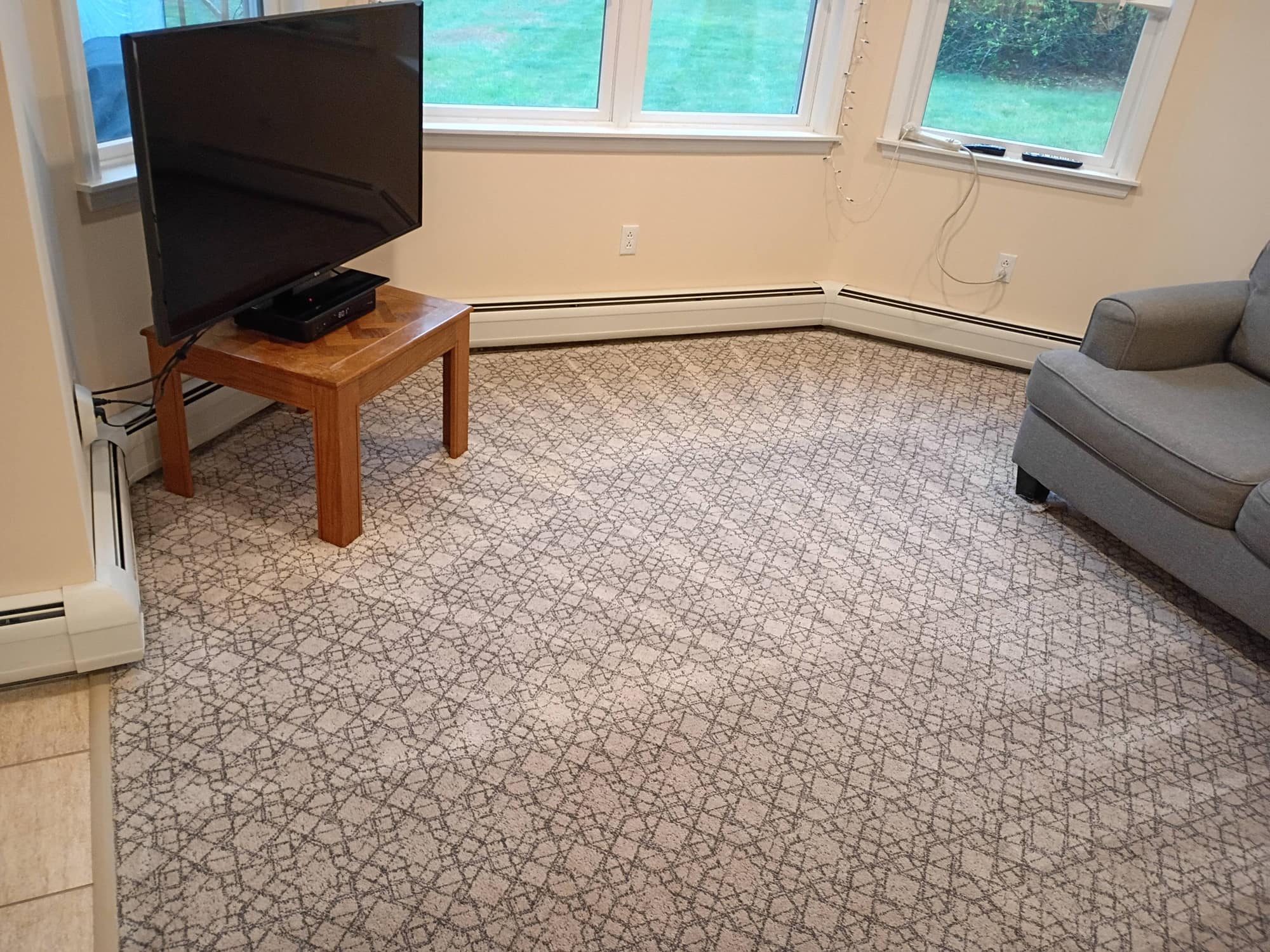 Living room corner carpet after cleaning near plant and sofa