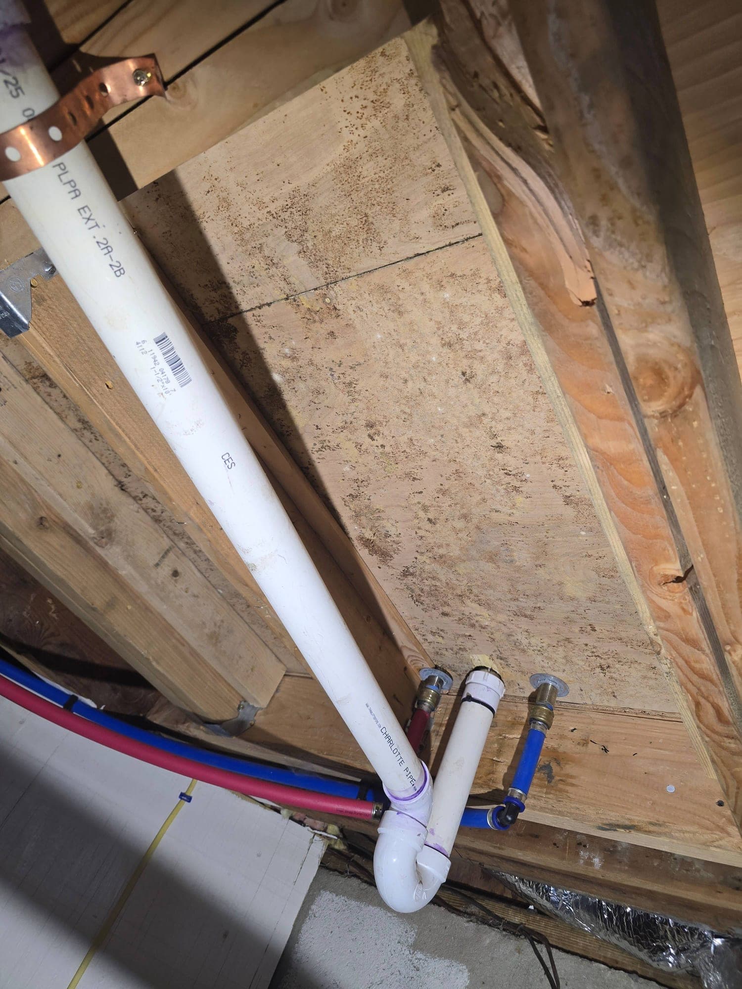 PVC water pipes with visible mold staining on framing