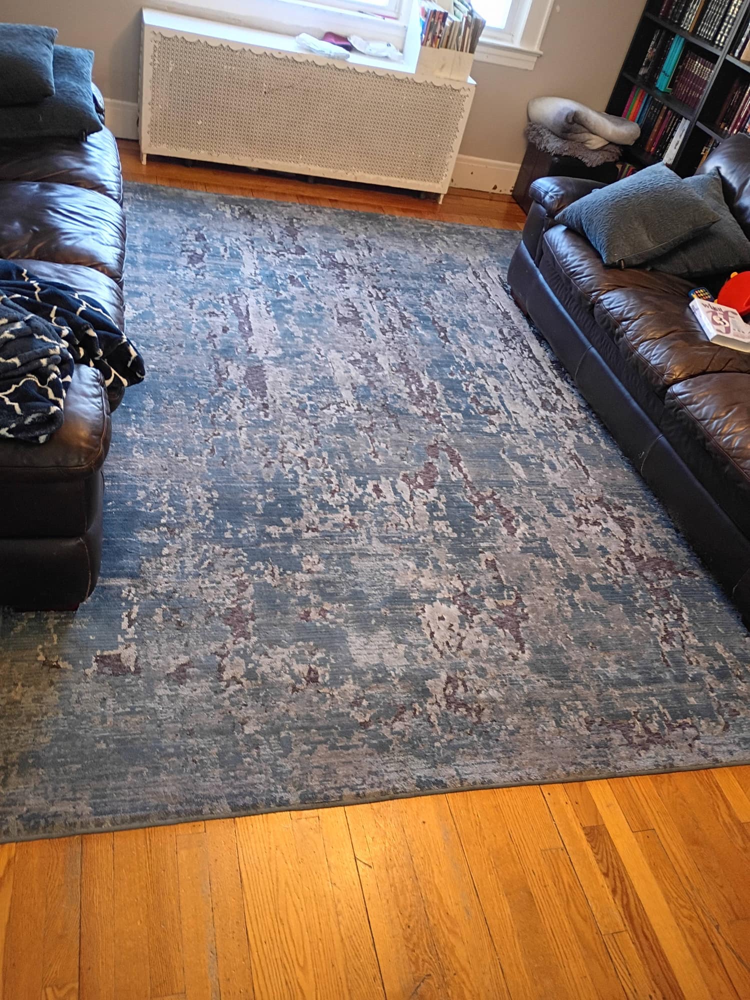 Living room with patterned area rug and leather sofas before cleaning