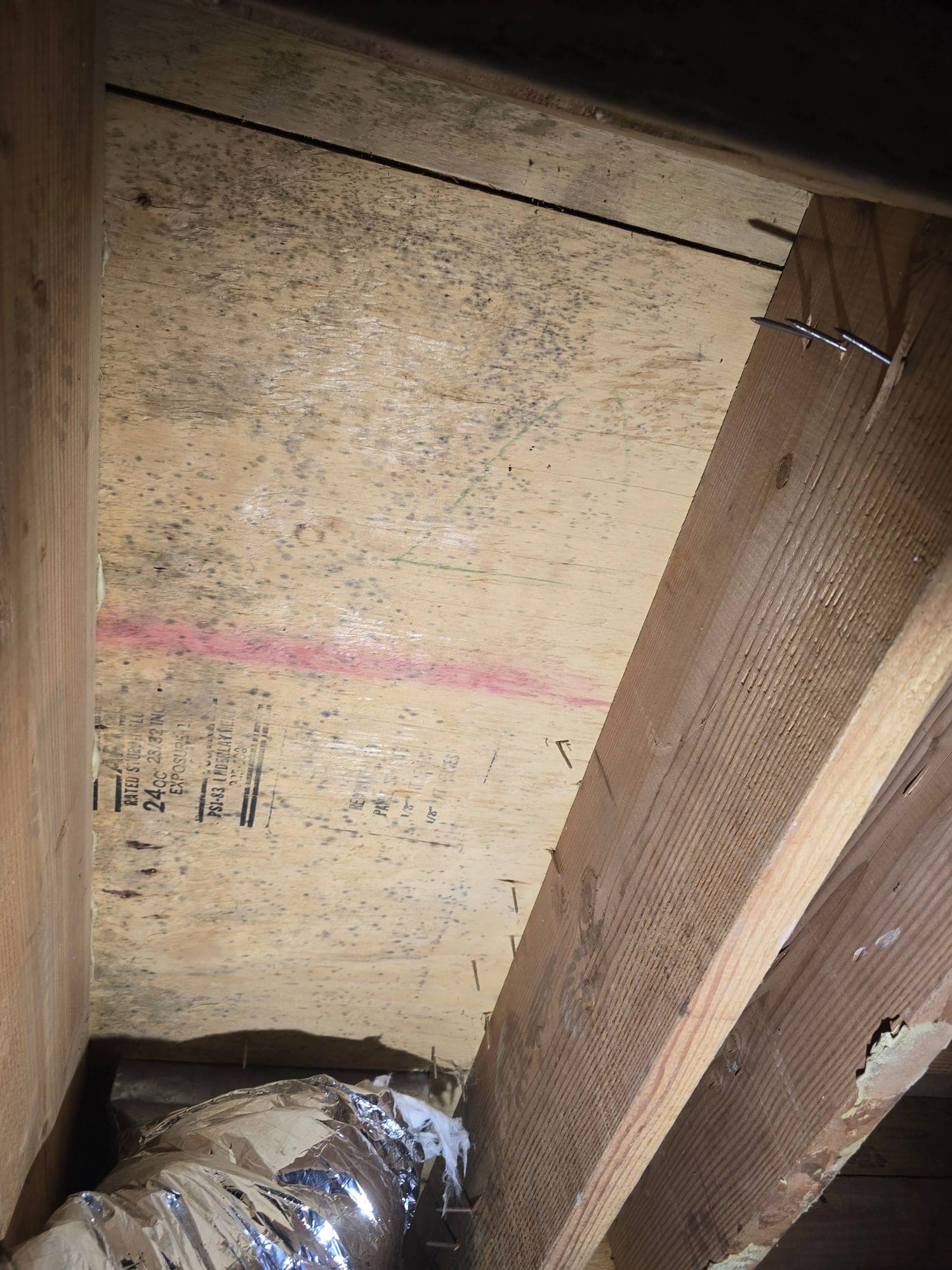 Close-up of plywood mold staining near wood framing joists