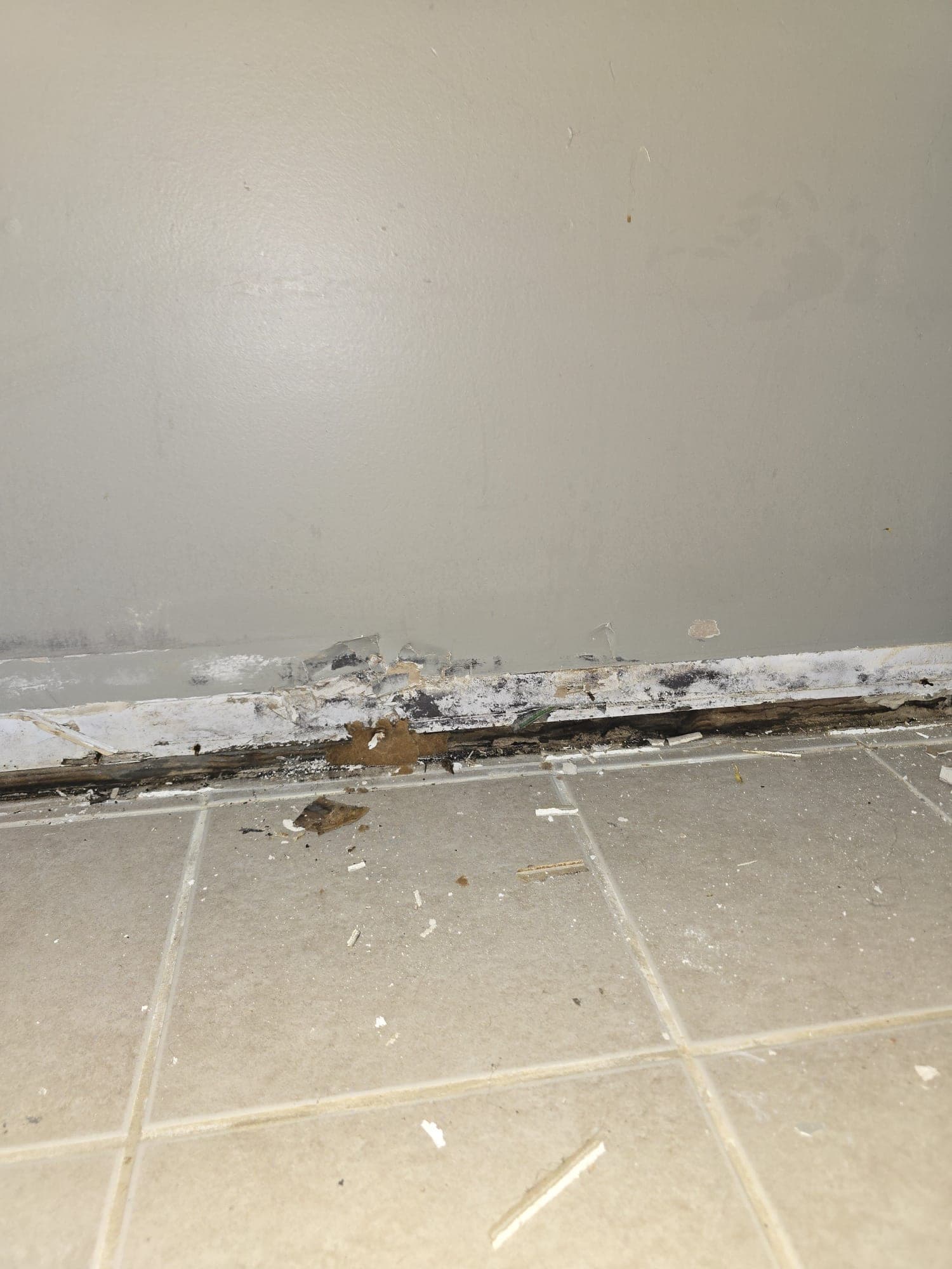 Rotted baseboard pulled away to expose mold along a tile floor
