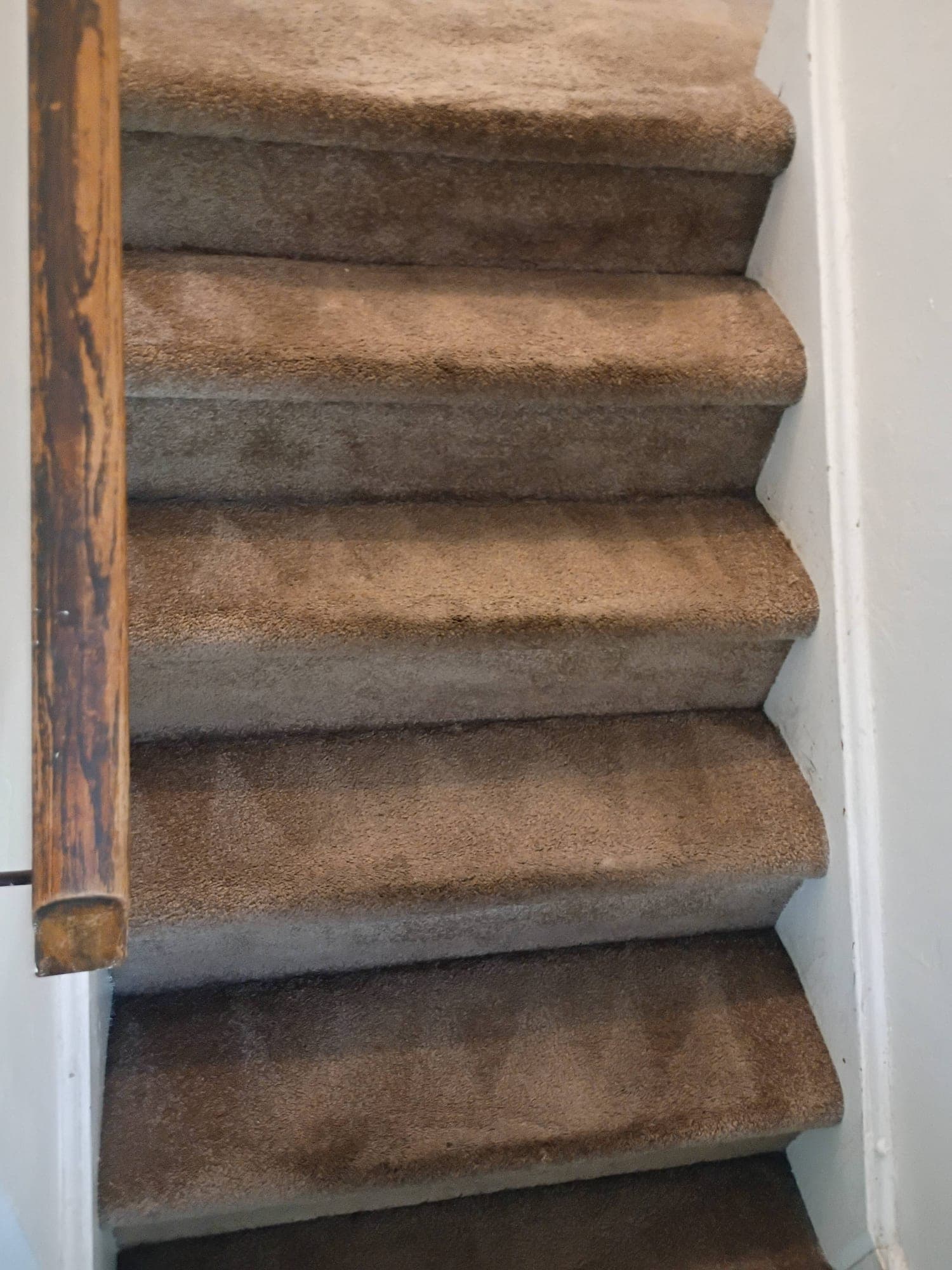 Close-up of carpeted stairs with a clean triangular vacuum pattern