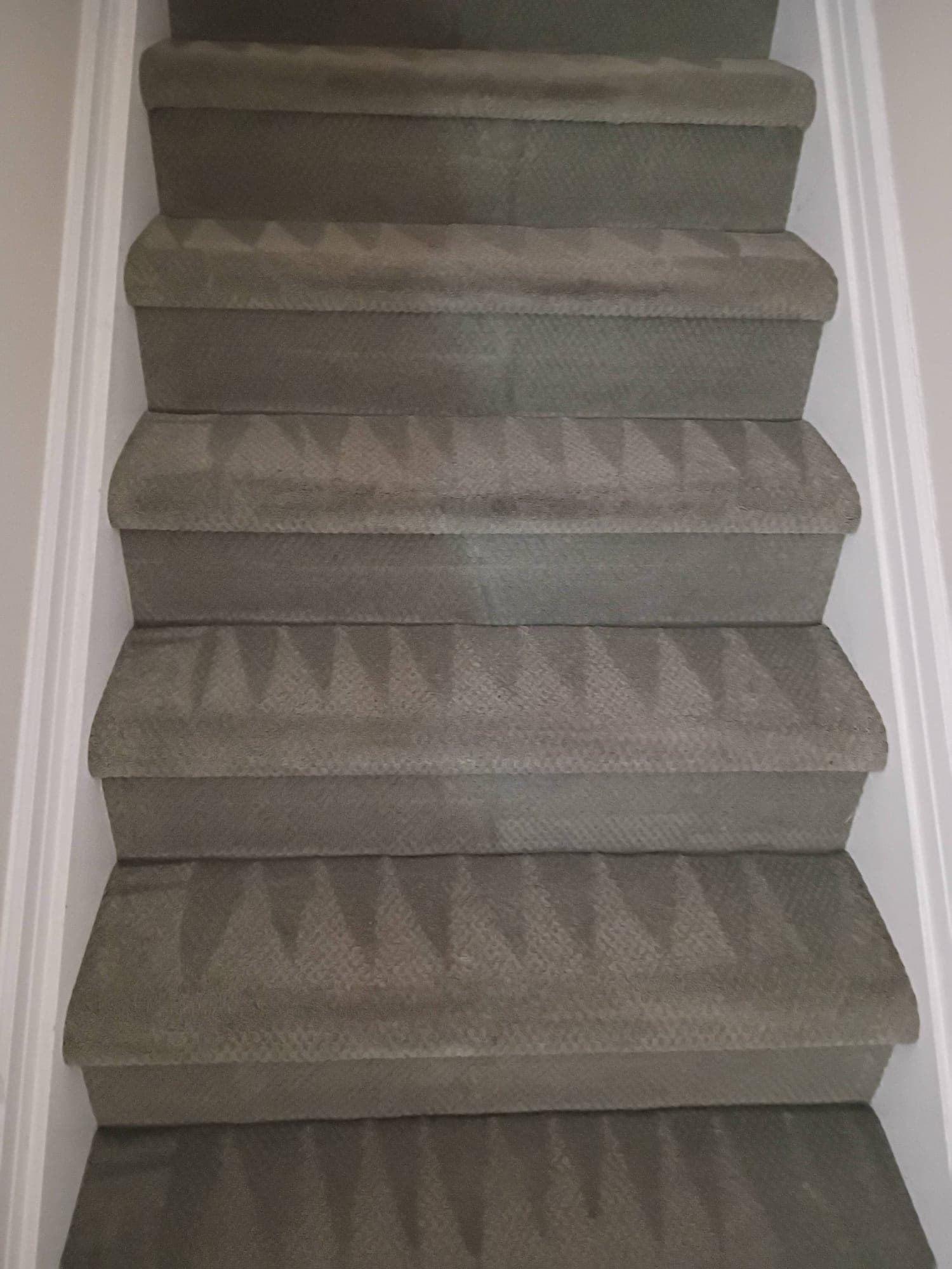 Clean carpeted staircase close-up with visible grooming lines