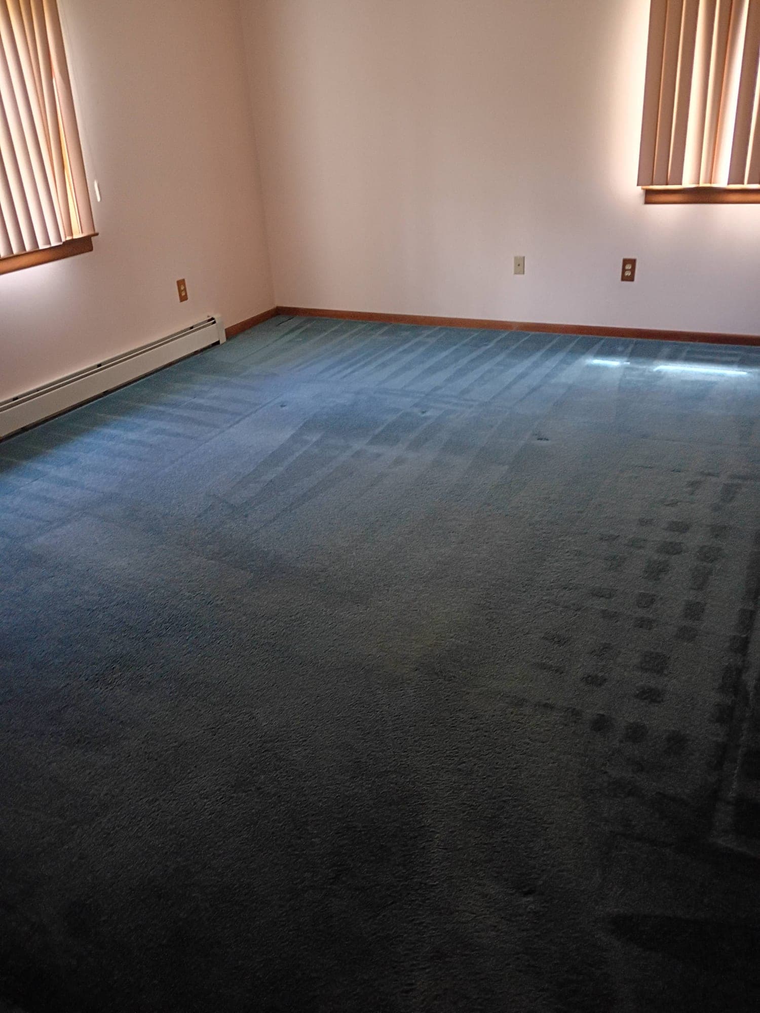 Empty room with blue-teal carpet and vertical blinds after cleaning, even light