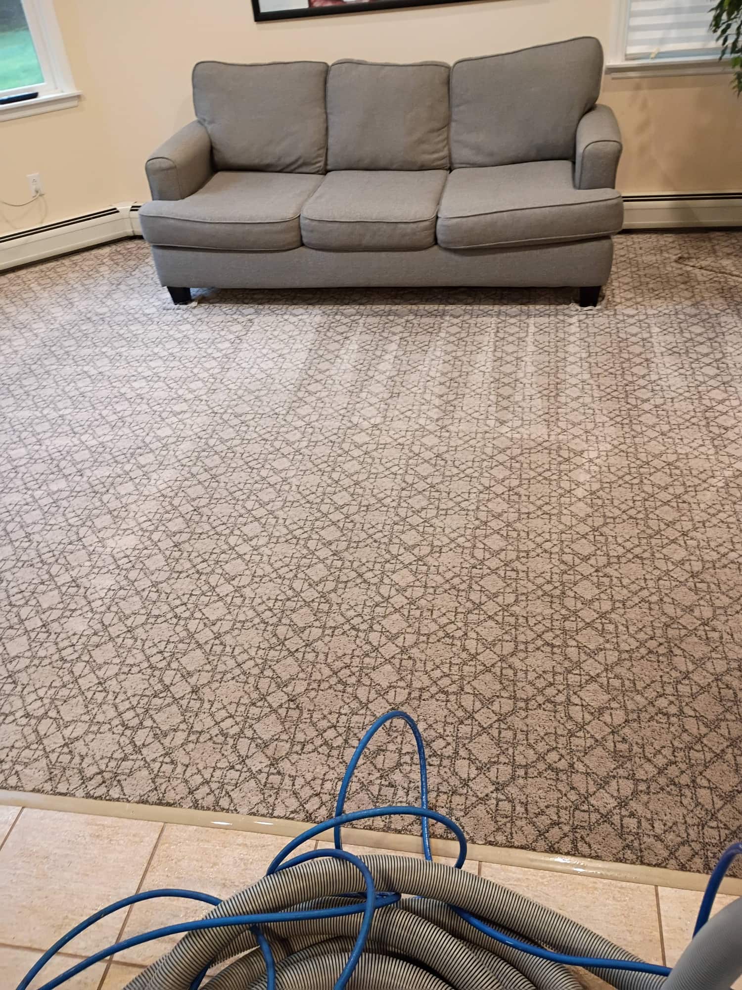 TV room carpet noticeably brighter and cleaner after professional cleaning