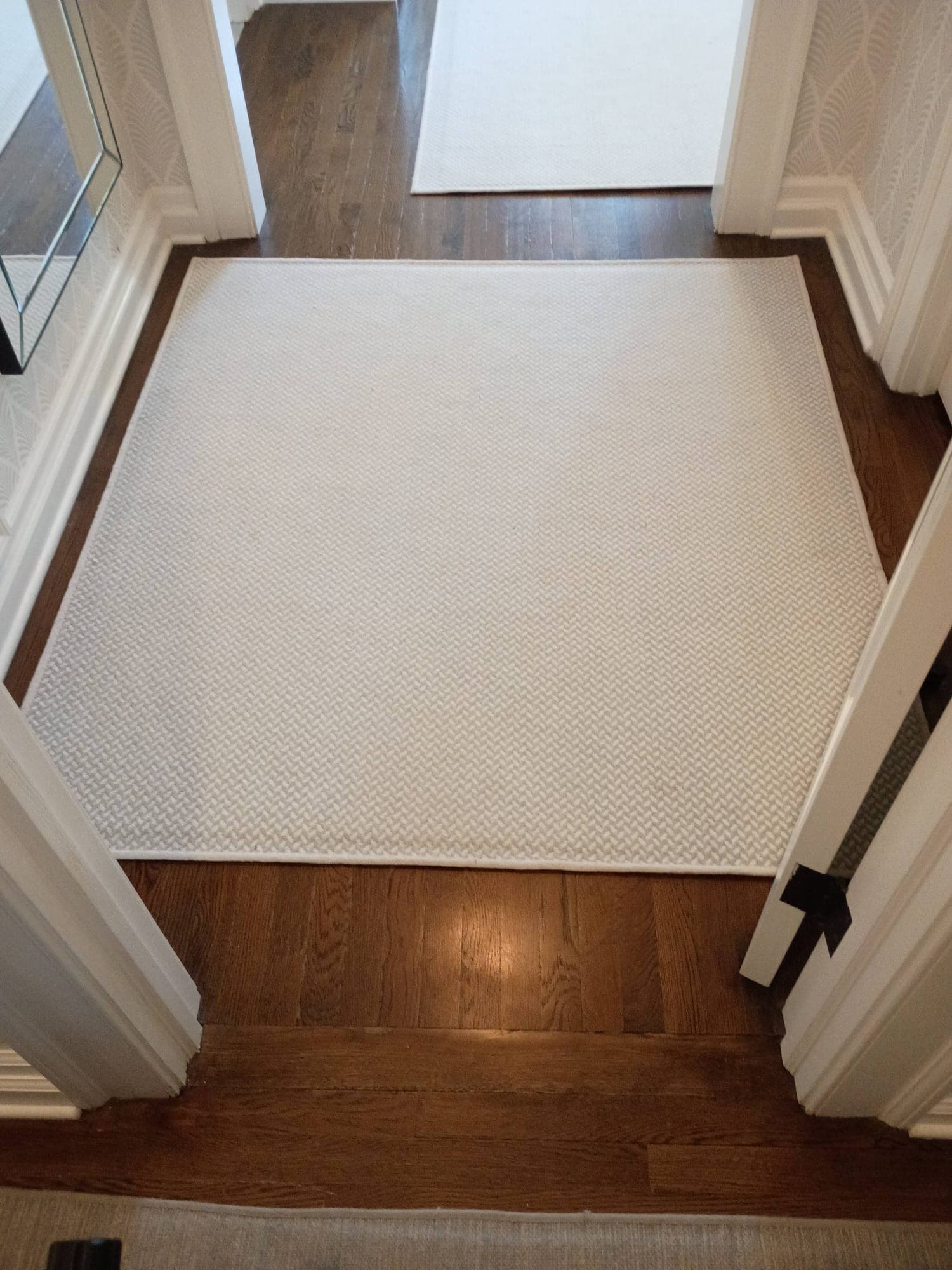 White area rug on hardwood entry floor before cleaning