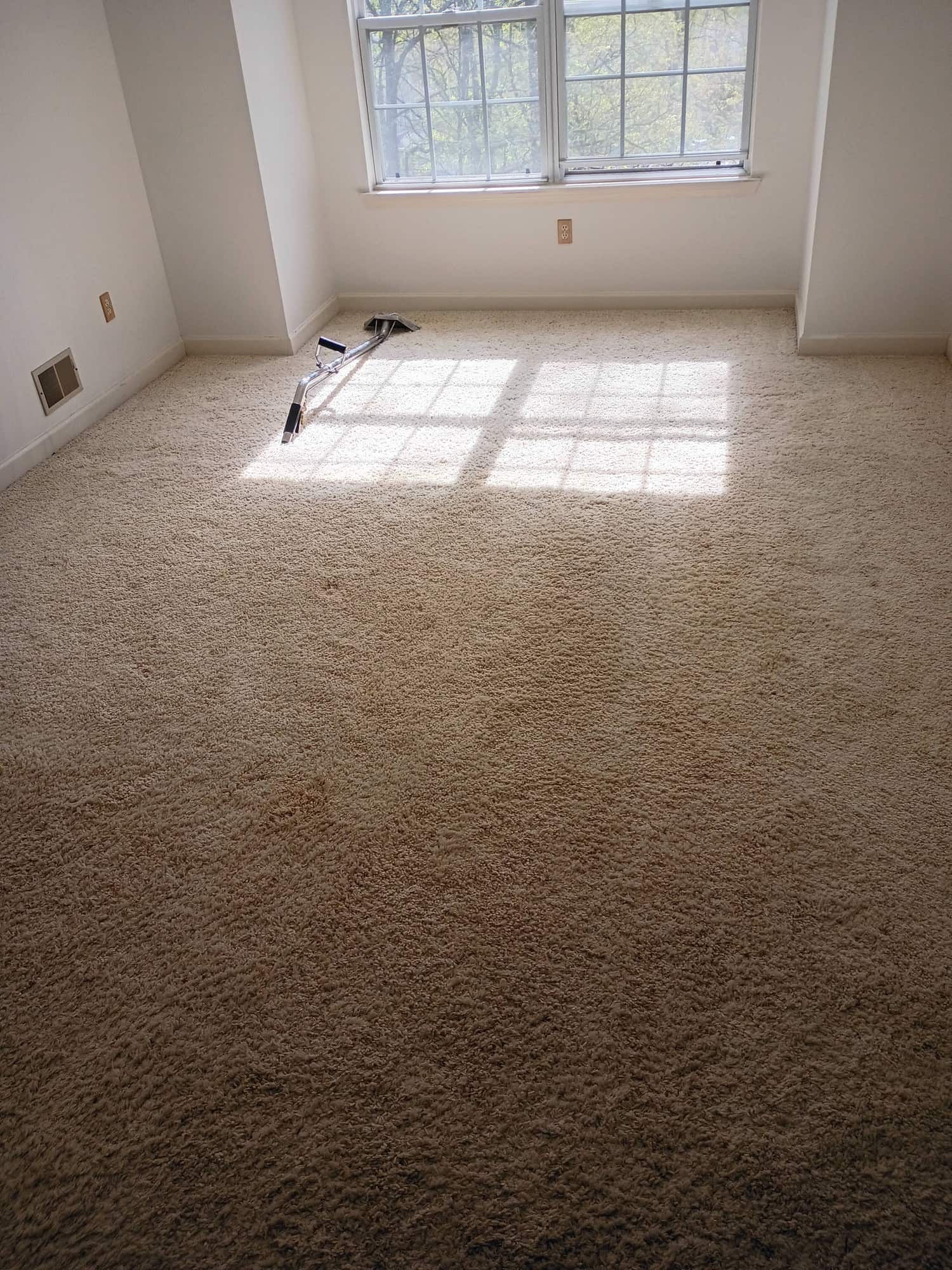 Empty bedroom with beige carpet, window light pattern and cleaning wand