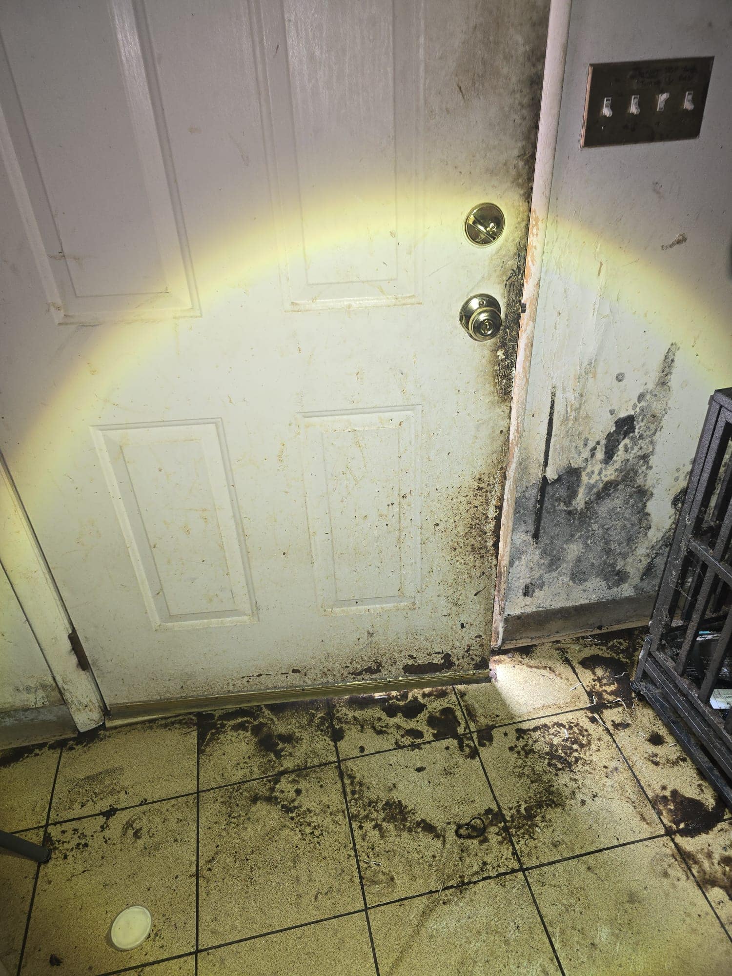 Mold and floodwater sediment around a basement exterior door where water came in