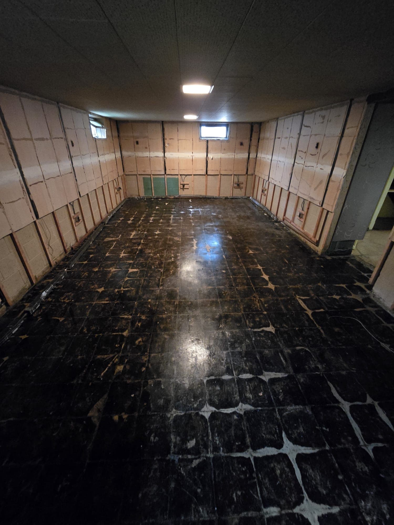 Room stripped to bare subfloor and open stud walls after wet carpet and drywall were removed