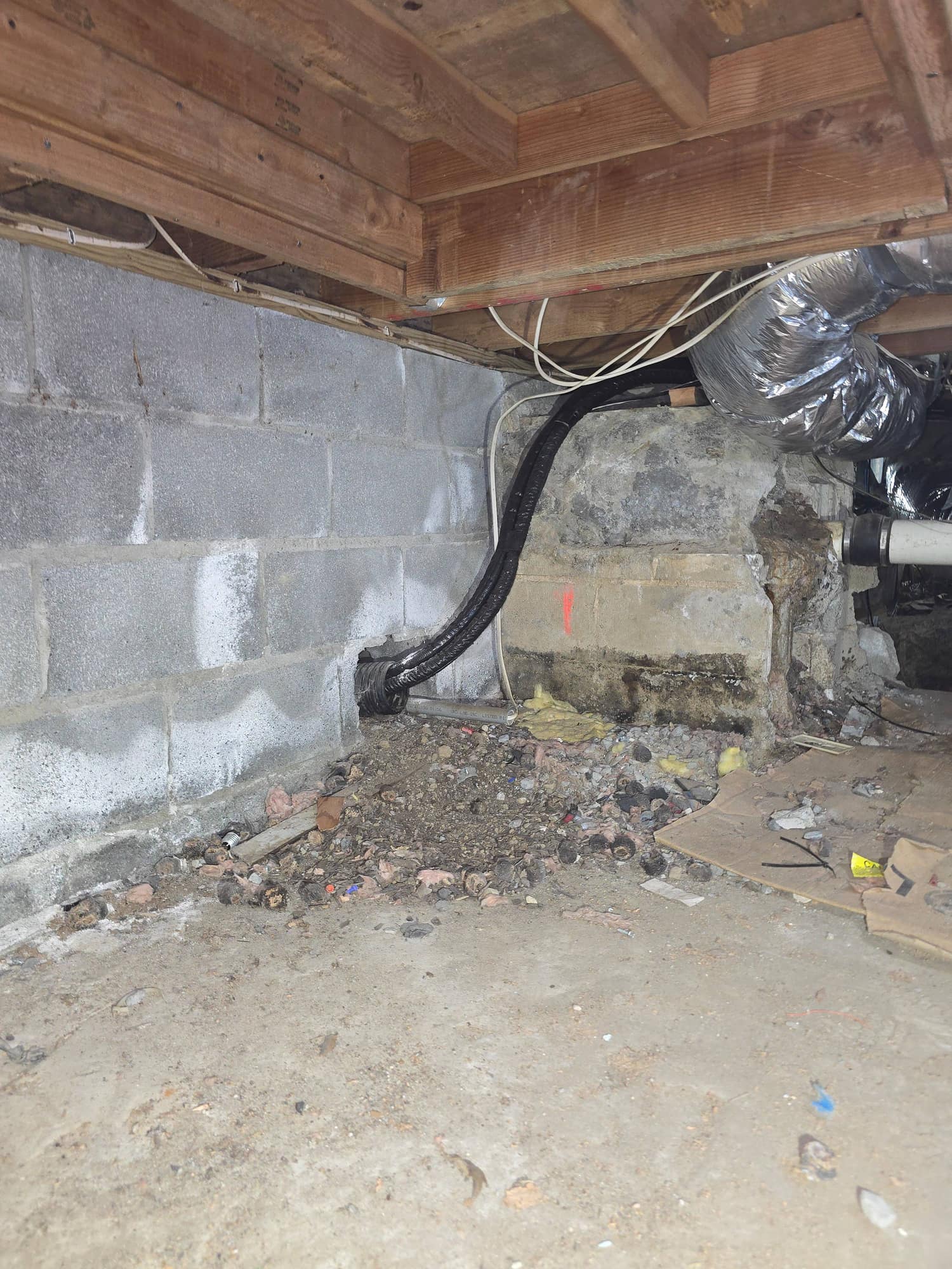 Underside of plywood subfloor showing dark mold speckling